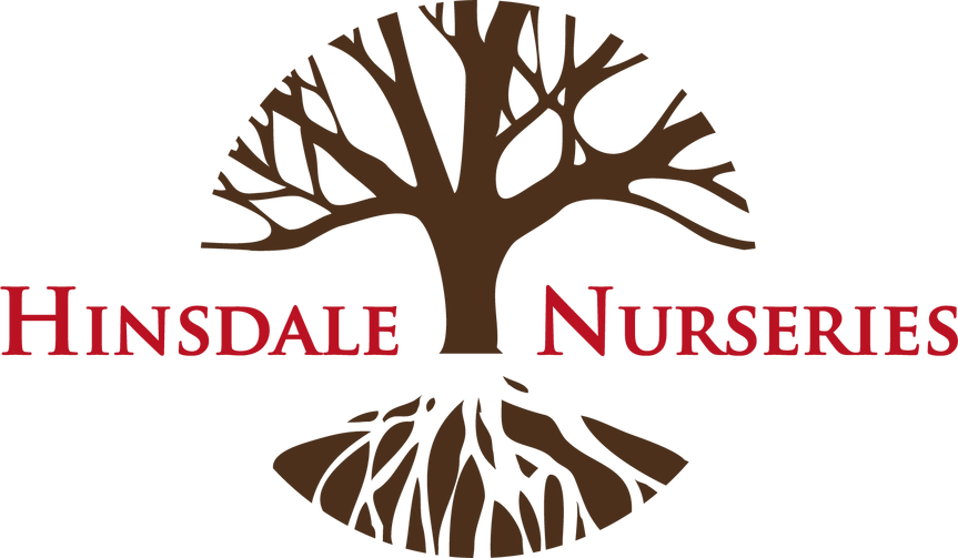 Hinsdale Nurseries